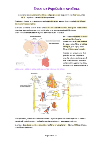 Tema-15.pdf