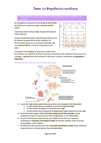 Tema-15.pdf