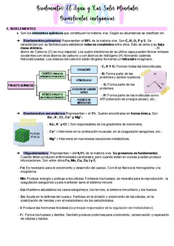 Bioelementos-El-agua-y-las-sales-minerales.-Biomoleculas-inorganicas.pdf