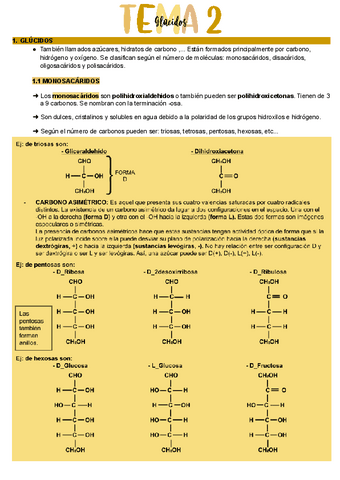 Bioelementos-Glucidos.pdf