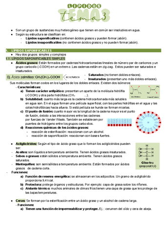 Bioelementos-Lipidos.pdf