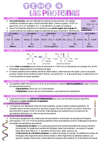 Bioelementos-Proteinas.pdf