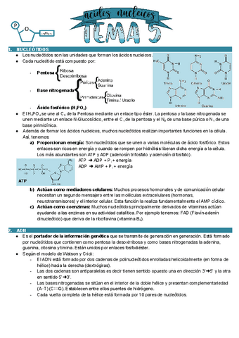 Bioelementos-Acidos-nucleicos.pdf