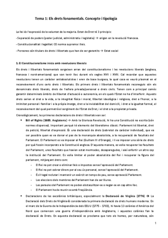 APUNTES-DEFINITIVOS-Drets-i-llibertats-fonamentals.pdf