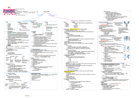 ESQUEMA-INMUNOLOGIA.pdf