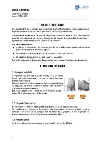 BLOQUE-IV.-TEMA-1.pdf