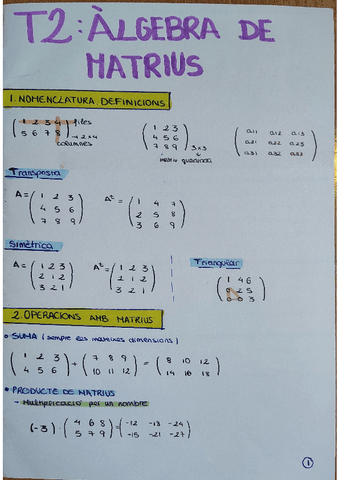 Matematicas-2BAH-Tema-2-Algebra-de-matrius.pdf