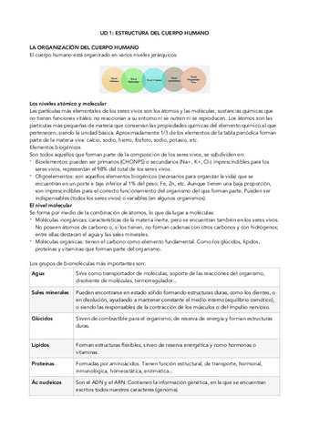 Tema-1-Estructura-cuerpo.pdf