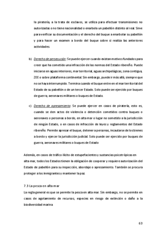 Apuntes-Derecho-Internacional-Publico-10.pdf
