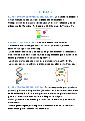 ADN y ARN.pdf