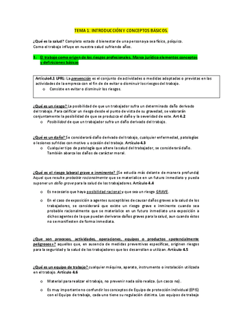 prevencion-tema-1.pdf
