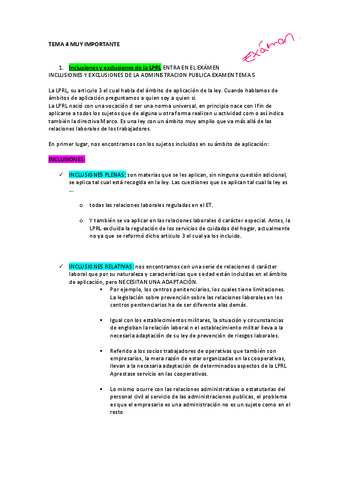 tema-4-prevencion.pdf