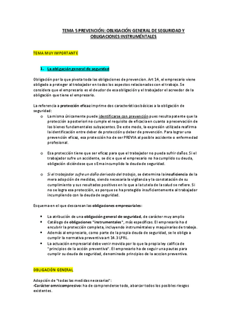 tema-5-prevencion.pdf
