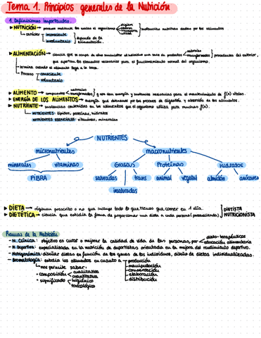 2o-parcial.pdf