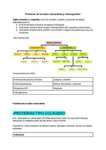 Tema-1.-Proteinas-de-la-matriz-extracelular-y-citoesqueleto-2023.pdf