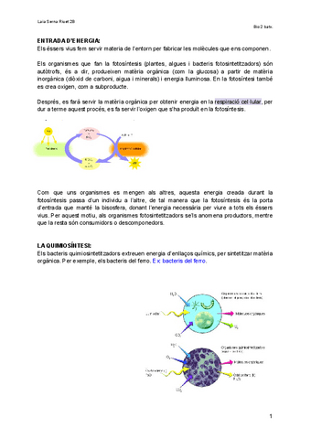 Apunts-ENTRADA-I-TRANSIT-DENERGIA-FOTOSINTESI.pdf