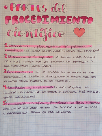 Partes-Del-Procedimiento-Cientifico.pdf