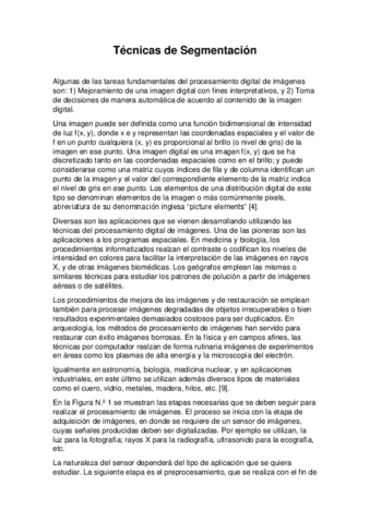 Tecnicas-de-Segmentacion-I.pdf