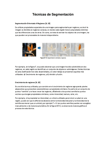 Tecnicas-de-Segmentacion-III.pdf