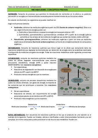 TEMA-10.-METABOLISMO-I-CATABOLISMO.pdf