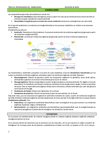 TEMA-11.-METABOLISMO-II-ANABOLISMO.pdf