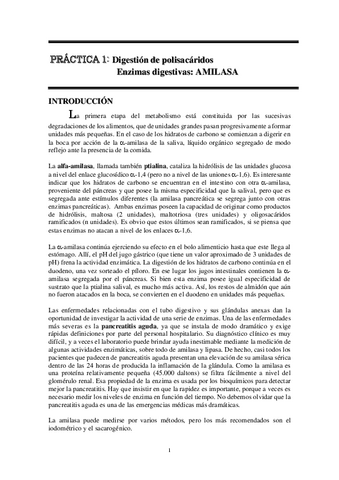 GUION-PRACTICA-1-AmplBQ-Farmacia-22.pdf