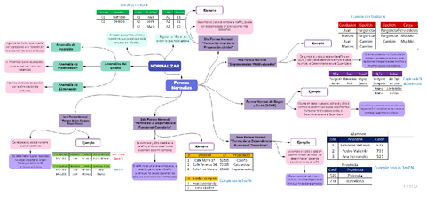 Cuadro-ConceptualFNAMDP.pdf