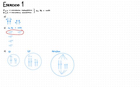 Ejercicios-Parte-T1-T5.pdf