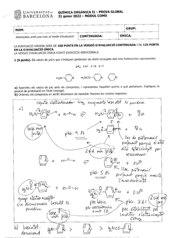 Finals-solucions-Organica-II.pdf