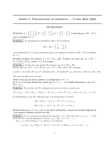 MATES II SOLUCIÓN TODAS SESIONES 1 a 24.pdf