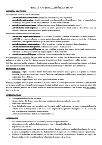 tema-15.-antebrazo-muneca-y-mano.pdf