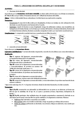 tema-5.-afecciones-cintura-escapular-y-hombro.pdf