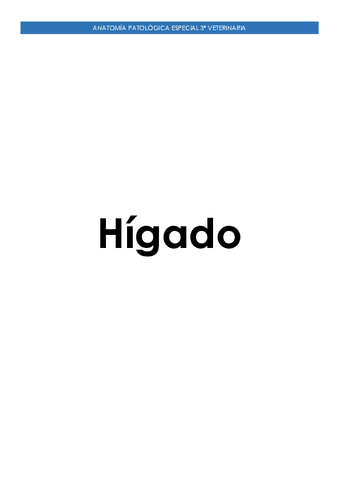 Higado.pdf