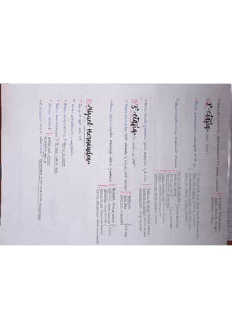 Generacion-del-27.-Esquema-2.pdf