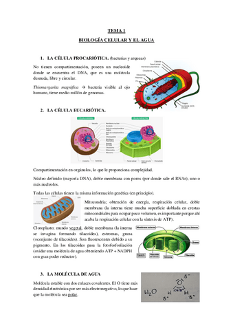 TEMA-1-BIOLOGIA-CELULAR-Y-EL-AGUA.pdf