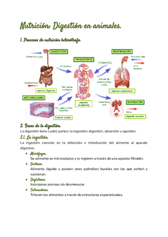 La-Nutricion.pdf