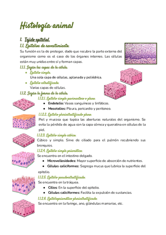 Histologia-animal.pdf