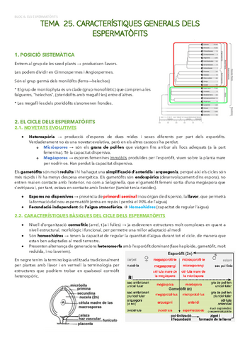 BLOC-6.-ELS-ESPERMATOFITS.pdf