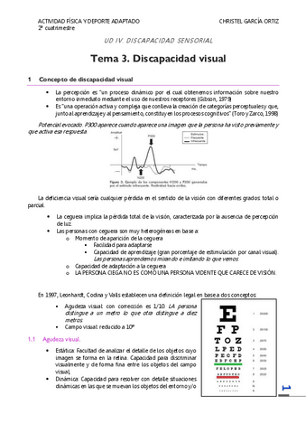 T3.pdf