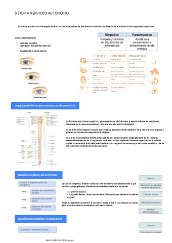 SISTEMA-NERVIOSO-AUTONOMO.pdf