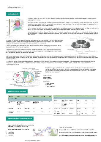 VIAS-SENSITIVASBIOCONTROLADORES.pdf