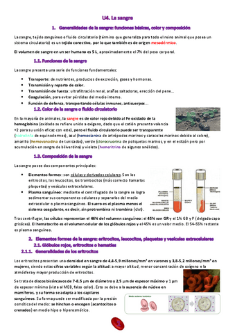 U4.-La-sangre.pdf