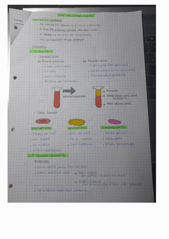 Circulatory-system.pdf