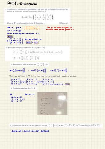 PEI-10dicimbre-t.1-4.pdf