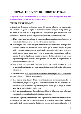 Tema-3-el-objeto-del-proceso.pdf