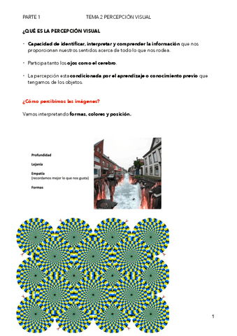 TEMA-2-PERCEPCION-VISUAL.pdf