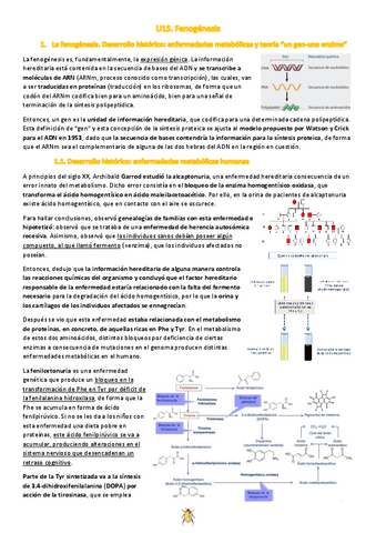 U15.-Fenogenesis.pdf