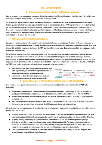 U16.-La-transcripcion.pdf