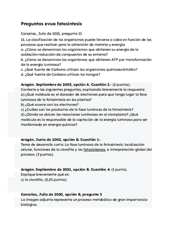 Preguntas-evua-fotosintesis.pdf