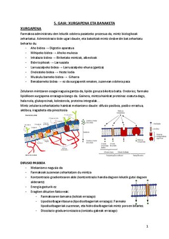 5.-XURGAPENA-ETA-BANAKETA.pdf